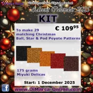 * BEAD KIT Digital Advent Calendar 2025 * - Facebook Peyote Pattern Advent Calendar 2025 KIT - Silver-Lined