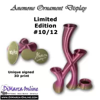 Anemone Ornament Display Rainbow (Limited Edition) #10/12
