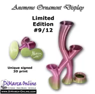 Anemone Ornament Display Rainbow (Limited Edition) #9/12