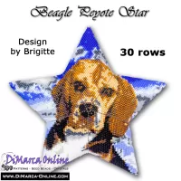 Tutorial 30 rows - Beagle 3D Peyote Star + Basic Tutorial (download link per e-mail)