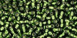 TR-11-0037 Silver-Lined Olivine 11/0 Toho