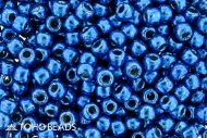 TR-08-PF0585 Permanent Finish - Galvanized Royal Blue 8/0 Toho