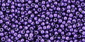 TR-06-YPS0013 Hybrid ColorTrends - Bodacious Purple 6/0 Toho